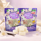MiniCrush Freeze-Dried Vanilla Ice Cream Candy – 2 × 0.88 oz Bags