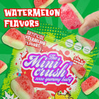Freeze-Dried Watermelon Candy Snacks- Crispy& Fruity Candy,2-Pack Resealable Bags | Perfect Holiday Gifts &Party Favors -MINICRUSH